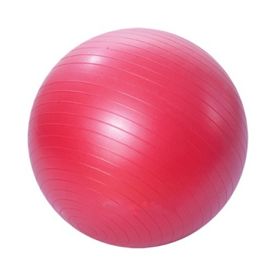 Гимнастический мяч DFC Anti-Burst System ABS-55 - купить по специальной цене