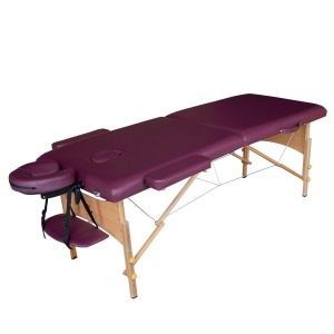 Складной массажный стол DFC NIRVANA Relax Plum TS20111_P