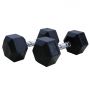 Гантели обрезиненные (пара) DFC DB001-10