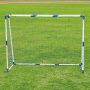   8ft DFC GOAL5250ST