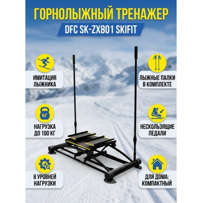 Горнолыжный тренажер DFC SK-ZX801 - купить по специальной цене