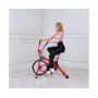  Air Bike DFC Lucky Sport ORB4090W