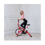  Air Bike DFC Lucky Sport ORB4090W